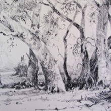 silverton-reds-charcoal-on-rough-paper-julie-simmons-300x1981