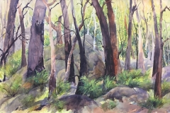 04 Bushland Shadows Here and There Exhib Julie Simmons