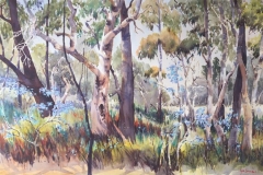 05 Bushland Here and There Exhib Julie Simmons
