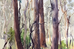 16 Burralow Trees Here and There Exhib Julie Simmons