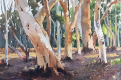 17 My Local Bushland Here and There Exhib Julie Simmons