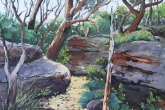 21 The Bush Track Here and There Exhib Julie Simmons