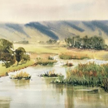Castlereagh-Wetlands-watercolour-julie-simmons